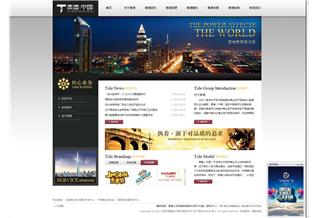 泰德（中國）控股集團(tuán)